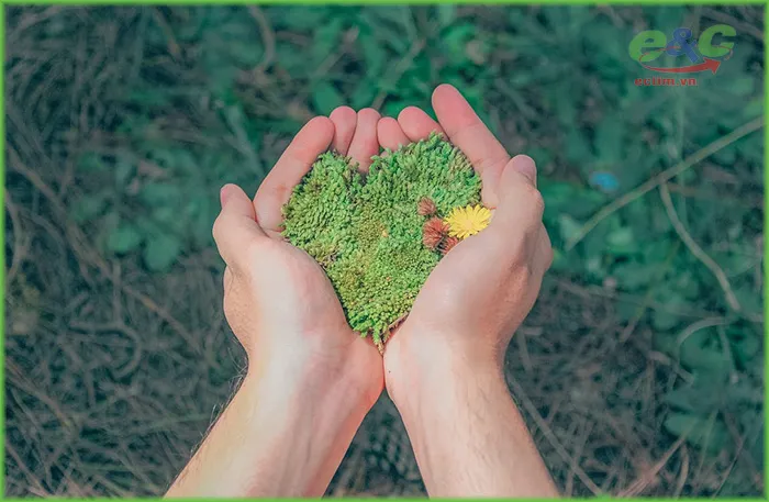 Bảo vệ môi trường là cần thiết để đảm bảo sự tồn tại và phát triển bền vững của chúng ta