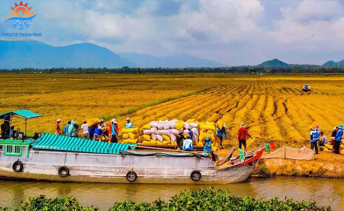 Cảnh quan xanh tươi, biểu tượng của sự sống và nguồn cung cấp tự nhiên
