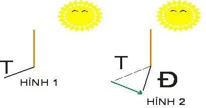 Học cách xác định phương hướng bằng phương pháp gậy và bóng nắng của Owen Doff